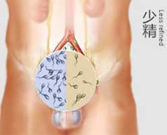 少精