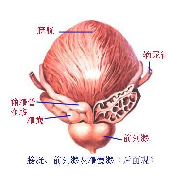 南沙人民医院看前列腺炎好吗