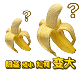 ӳҽԺļ?
