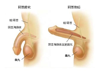 ɳ忴ҪǮ