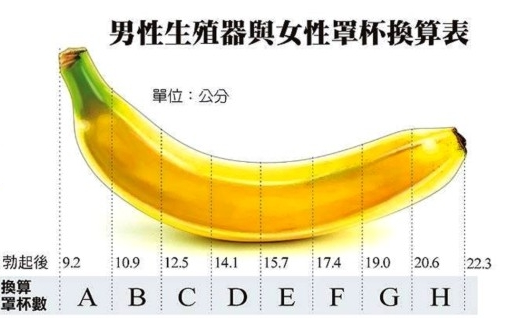你的丁丁长度拖中国男人的后腿了吗?