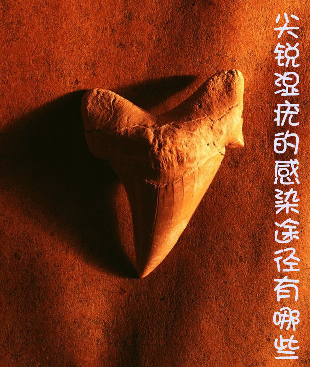 خļҽԺԲ