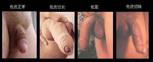 خŰƤŶǮ