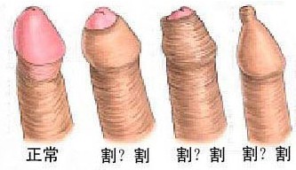 خ˺ʽ޺۰Ƥ