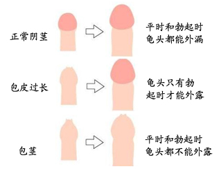 خļҽԺƤϺ