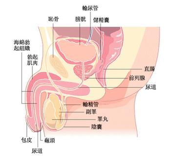 خǰҽԺ
