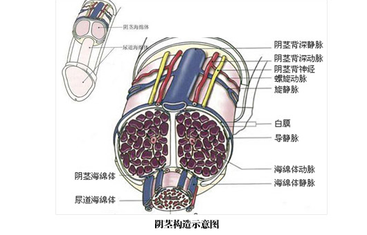 خйҽԺ