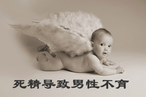 ݷخƲв۸