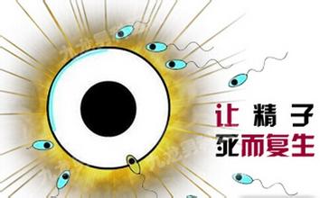 ݷخԲвǮ