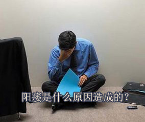 ݷخйҪǮ