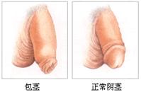 خƤķ