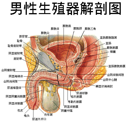 Ϊʲôغ跢׻Ḵ?